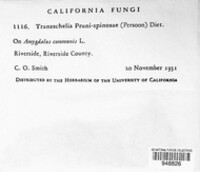Image Associated With the Occurence